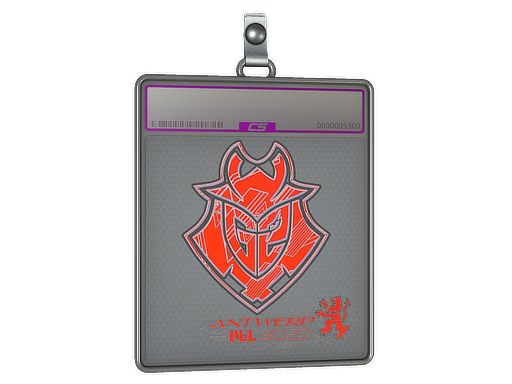Sticker Slab | G2 Esports (Holo) | Antwerp 2022