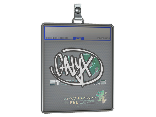 Sticker Slab | Calyx | Antwerp 2022