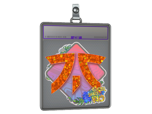 Sticker Slab | Fnatic (Glitter) | Rio 2022