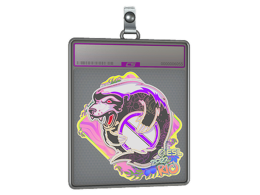 Sticker Slab | Outsiders (Holo) | Rio 2022