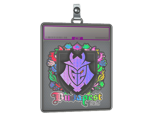 Sticker Slab | G2 esports (Holo) | Budapest 2025