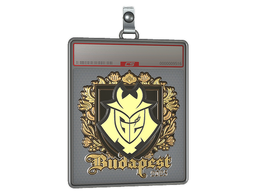 Sticker Slab | G2 esports (Gold) | Budapest 2025