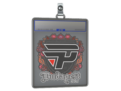 Sticker Slab | paiN Gaming | Budapest 2025