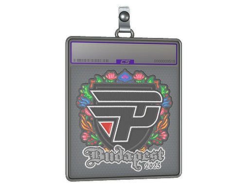Sticker Slab | paiN Gaming (Embroidered) | Budapest 2025