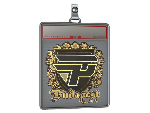 Sticker Slab | paiN Gaming (Gold) | Budapest 2025