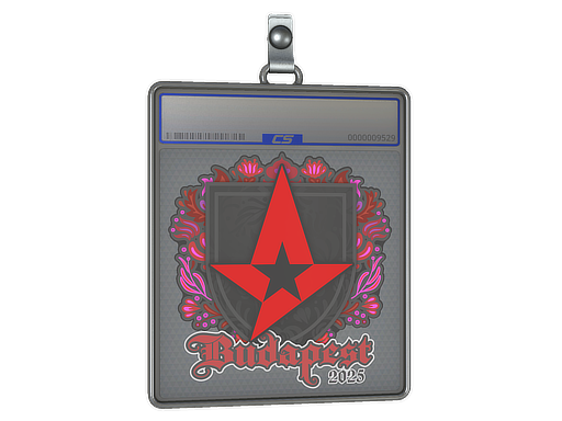 Sticker Slab | Astralis | Budapest 2025
