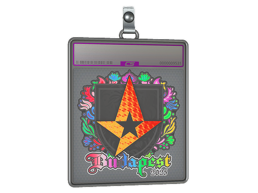 Sticker Slab | Astralis (Holo) | Budapest 2025