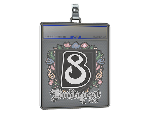 Sticker Slab | B8 | Budapest 2025