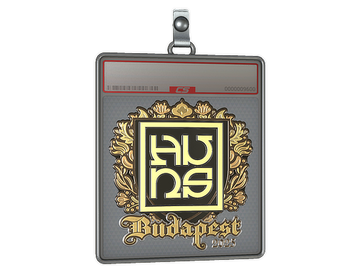 Sticker Slab | The Huns (Gold) | Budapest 2025