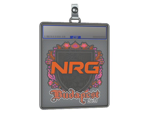 Sticker Slab | NRG | Budapest 2025