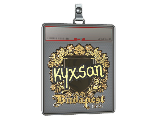 Sticker Slab | kyxsan (Gold) | Budapest 2025