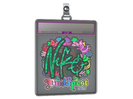 Sticker Slab | NiKo (Holo) | Budapest 2025