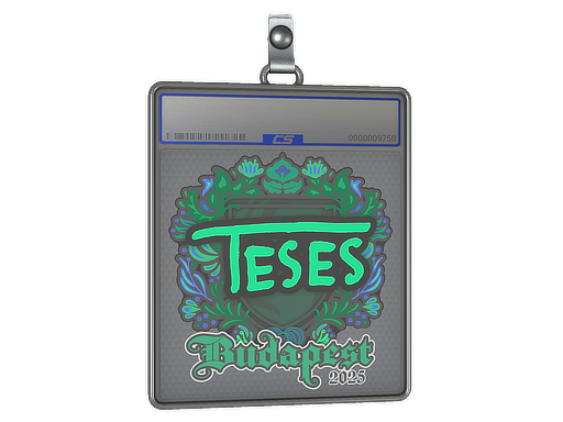 Sticker Slab | TeSeS | Budapest 2025