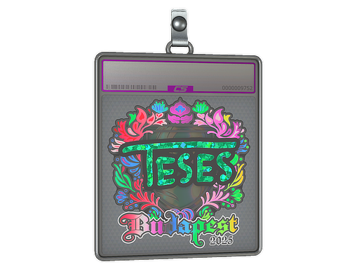 Sticker Slab | TeSeS (Holo) | Budapest 2025