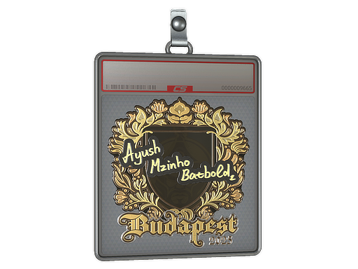 Sticker Slab | mzinho (Gold) | Budapest 2025