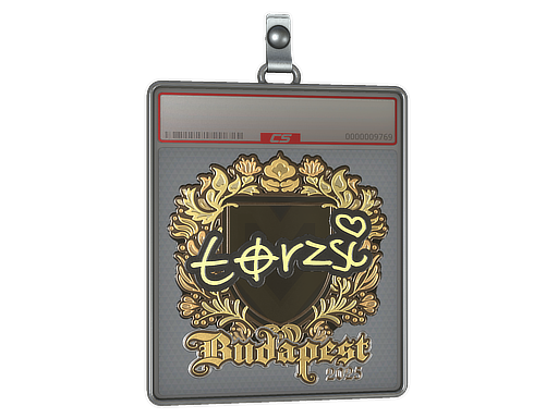 Sticker Slab | torzsi (Gold) | Budapest 2025