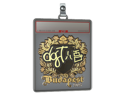 Sticker Slab | dgt (Gold) | Budapest 2025