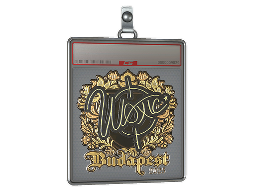 Sticker Slab | woxic (Gold) | Budapest 2025