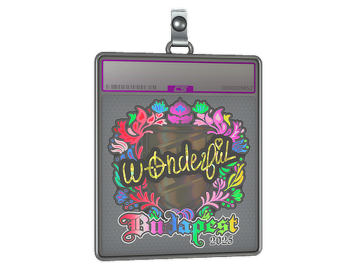 Sticker Slab | w0nderful (Holo) | Budapest 2025