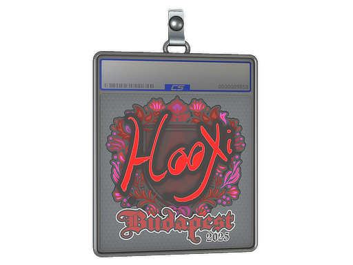 Sticker Slab | HooXi | Budapest 2025