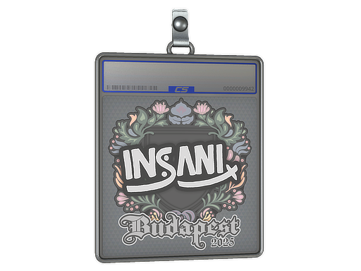 Sticker Slab | insani | Budapest 2025