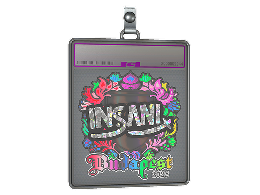 Sticker Slab | insani (Holo) | Budapest 2025