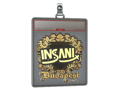 Sticker Slab | insani (Gold) | Budapest 2025