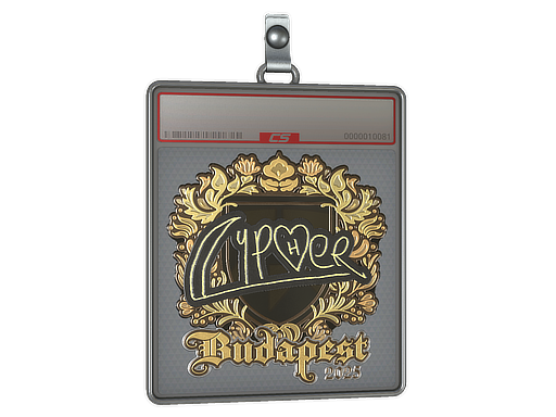 Sticker Slab | Cypher (Gold) | Budapest 2025