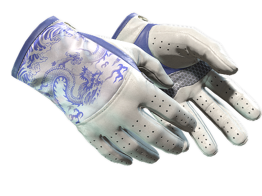 ★ Driver Gloves | Wave Chaser (Minimal Wear)