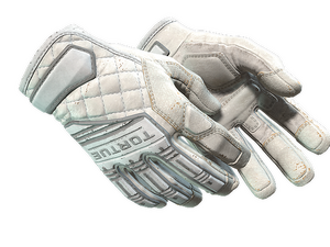 ★ Specialist Gloves | Pillow Punchers (Field-Tested)