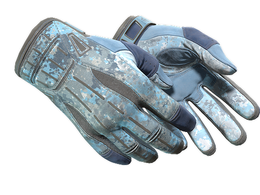 ★ Sport Gloves | Frosty (Field-Tested)