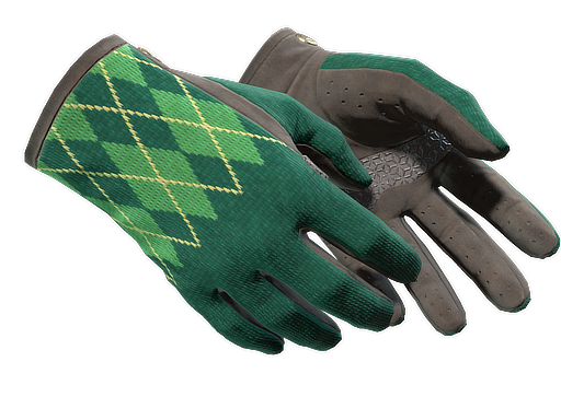★ Driver Gloves | Hand Sweaters (Minimal Wear)