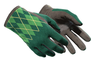 ★ Driver Gloves | Hand Sweaters (Factory New)