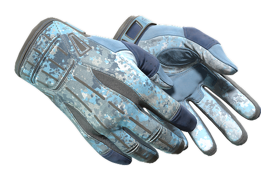 ★ Sport Gloves | Frosty (Minimal Wear)