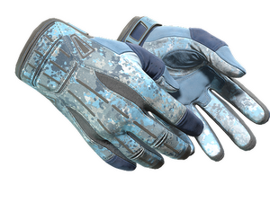 ★ Sport Gloves | Frosty (Minimal Wear)
