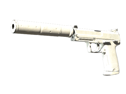 Souvenir USP-S | Whiteout (Field-Tested)