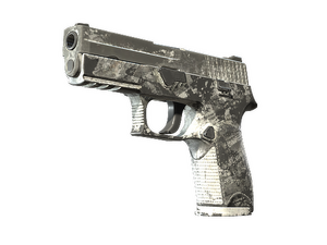 Souvenir P250 | Sleet (Battle-Scarred)
