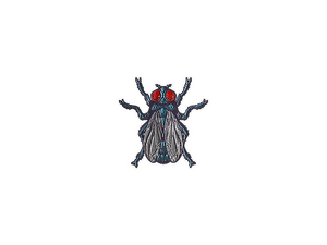 Sticker | Fruit Fly (Foil)