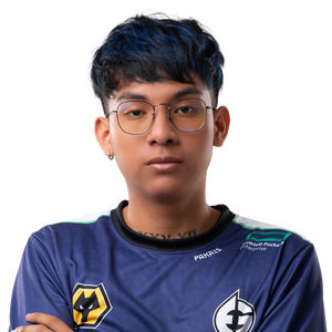 Gold Pakazs Player Sticker - TI 2023