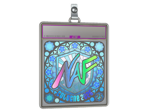 Sticker Slab | NAF (Holo, Ranked) | Cologne 2026