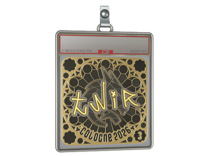 Sticker Slab | tN1R (Gold, Ranked) | Cologne 2026