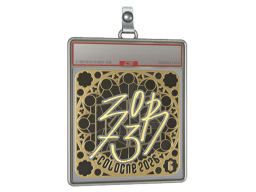 Sticker Slab | zorte (Gold, Ranked) | Cologne 2026
