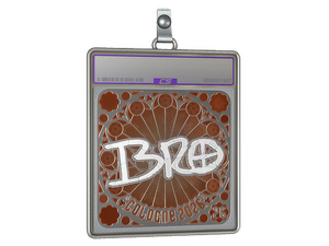 Sticker Slab | br0 (Foil, Ranked) | Cologne 2026