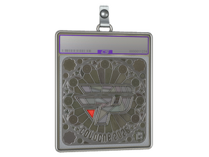 Sticker Slab | paiN Gaming (Foil, Ranked) | Cologne 2026