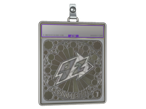Sticker Slab | 9z Team (Foil, Ranked) | Cologne 2026