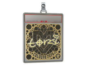 Sticker Slab | torzsi (Gold, Ranked) | Cologne 2026