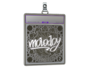 Sticker Slab | molodoy (Foil, Ranked) | Cologne 2026