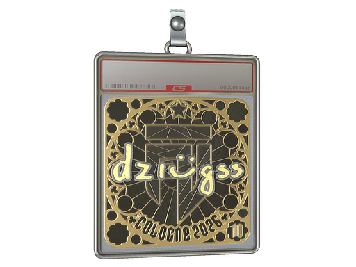 Sticker Slab | dziugss (Gold, Ranked) | Cologne 2026