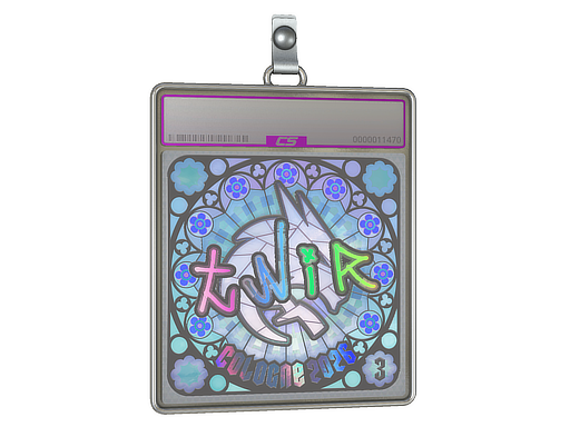 Sticker Slab | tN1R (Holo, Ranked) | Cologne 2026