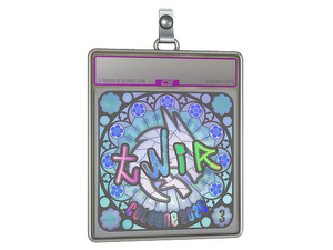 Sticker Slab | tN1R (Holo, Ranked) | Cologne 2026